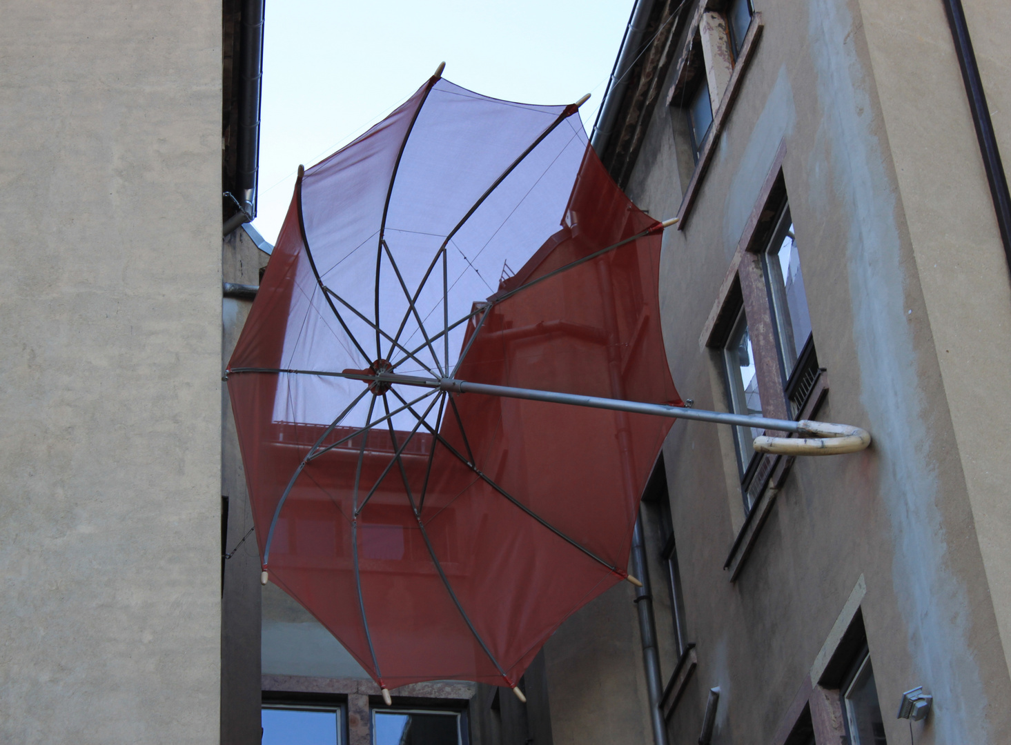 Der große Regenschirm / The large umbrella