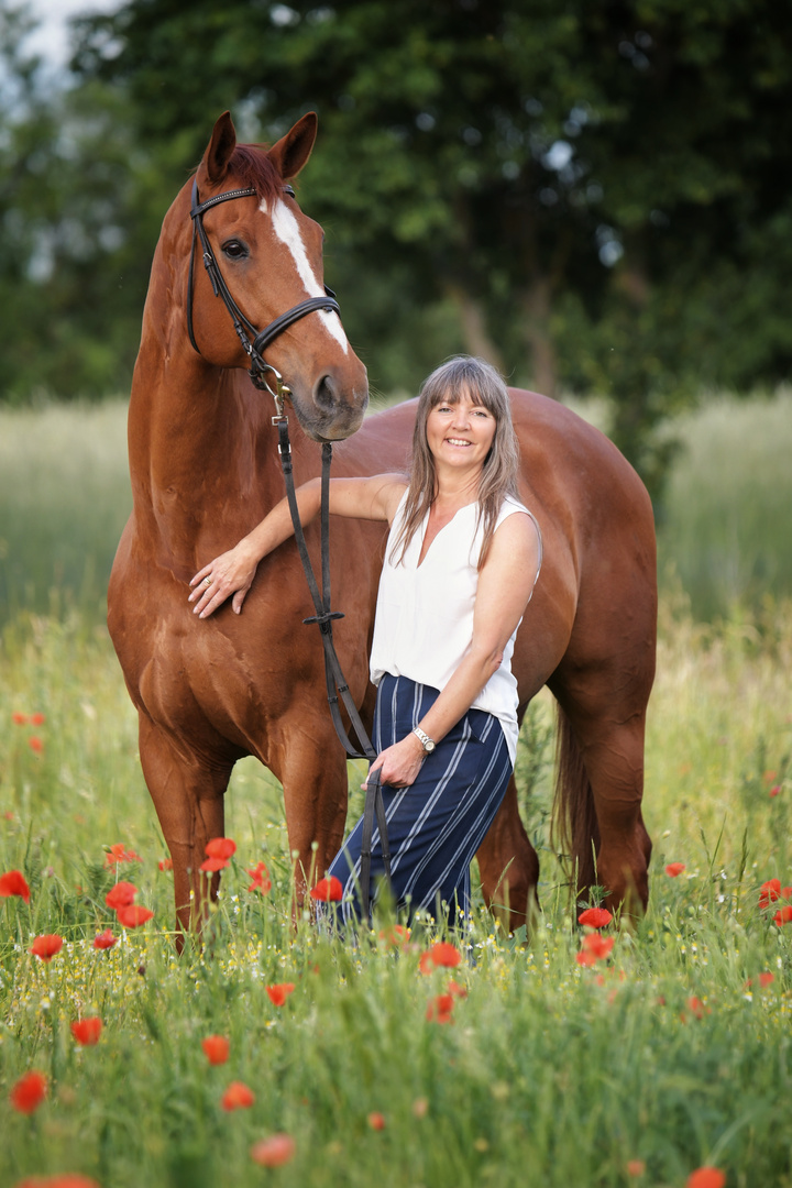 Der große Rote im Mohn 