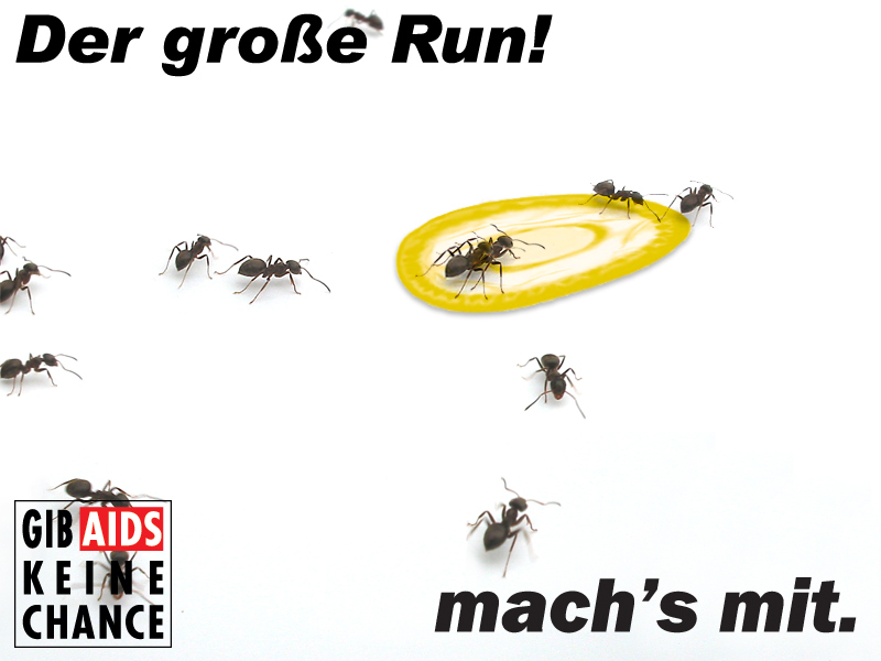 Der große run!