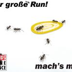 Der große run!