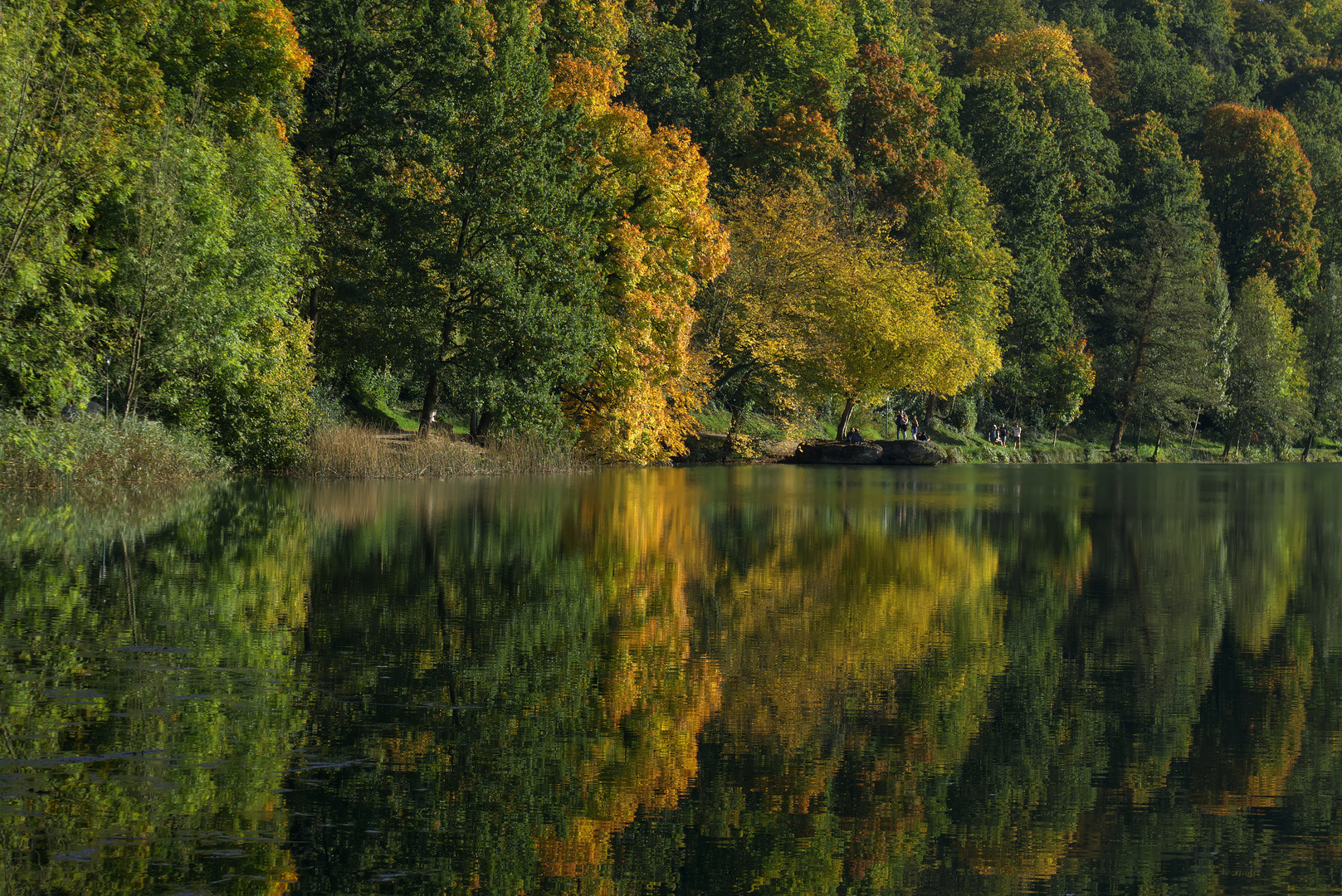 Der große Stein im Wöhrsee