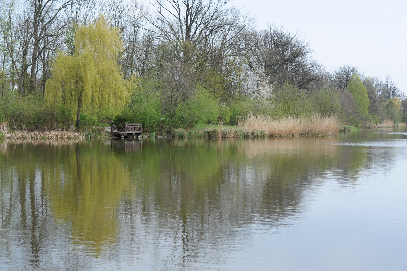Der Große Teich in Bad Nauheim