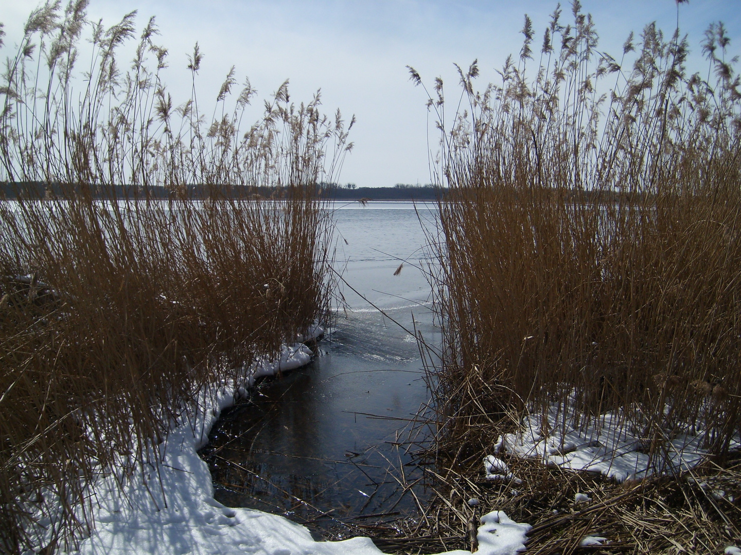 Der Große Teich in Torgau