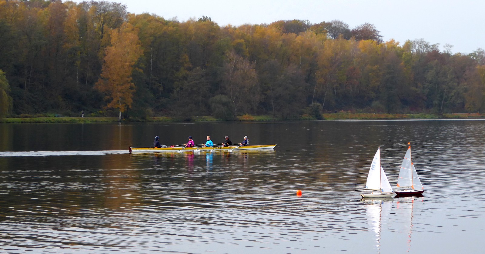 Der große und der kleine Sport