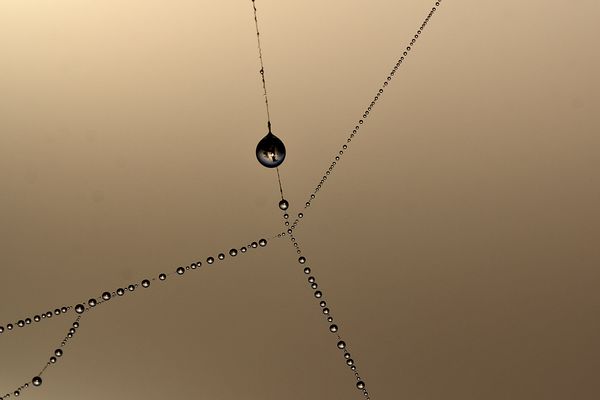 der Große unter den Kleinen