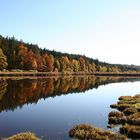 der große Weiher