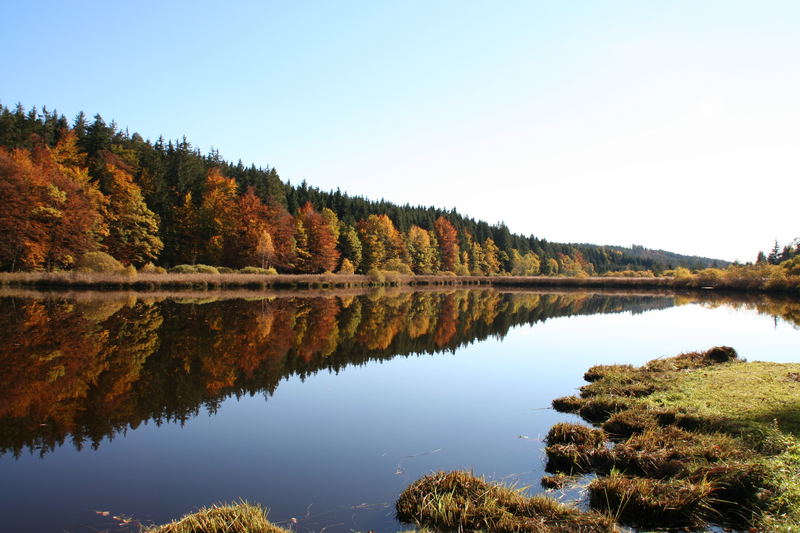 der große Weiher