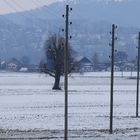 Der grosse Winter