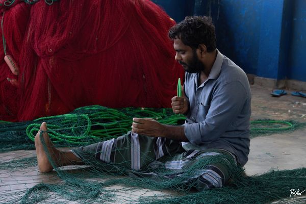 Der große Zeh ist wichtig / The big toe is important