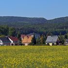 Der große Zschirnstein links zur Zeit der höchste erreictbare Gipfel...