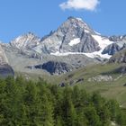 Der Grossglockner