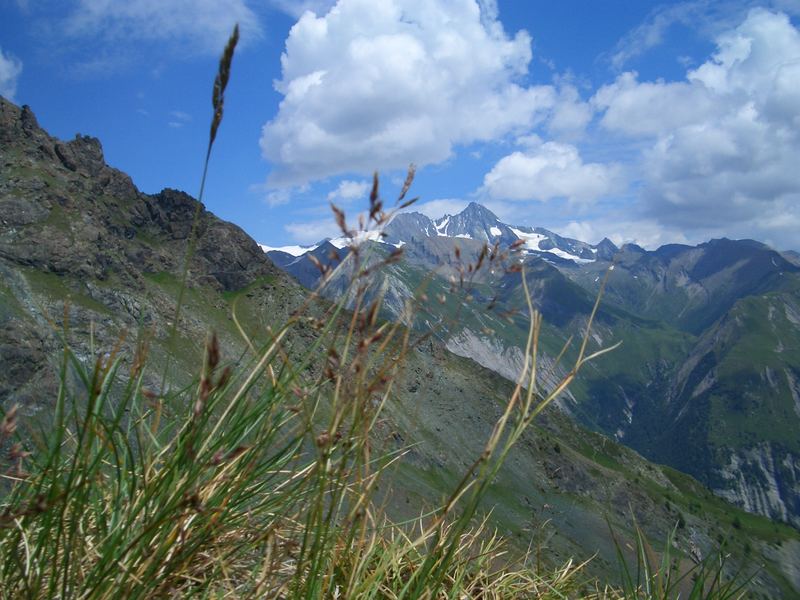 Der Großglockner