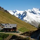 Der Großglockner