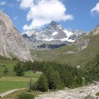 Der Großglockner