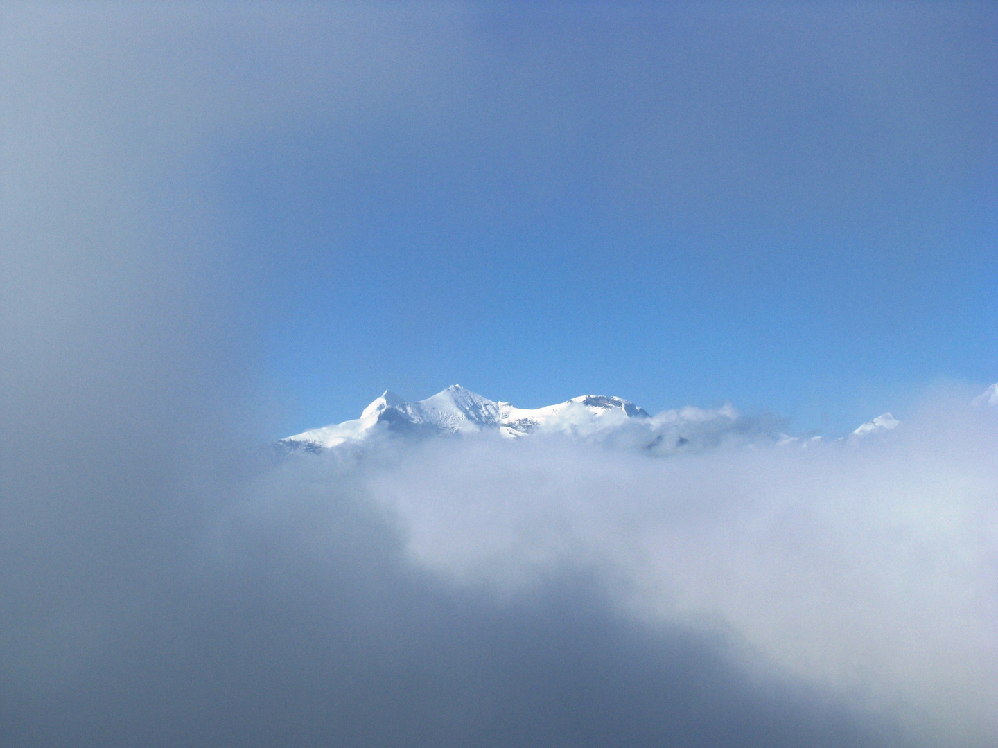 Der Großglockner im Nebelkleid