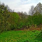 Der grüne Garten