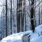 Der "Grüne Graben" im Winter