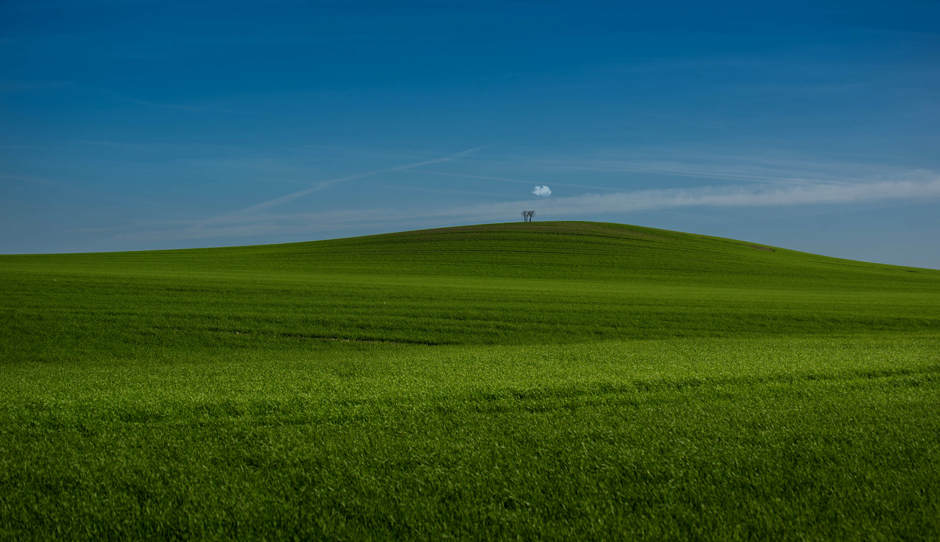 Der grüne Hügel