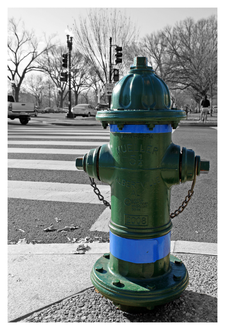 Der grüne Hydrant