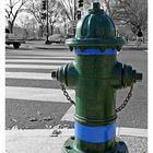 Der grüne Hydrant