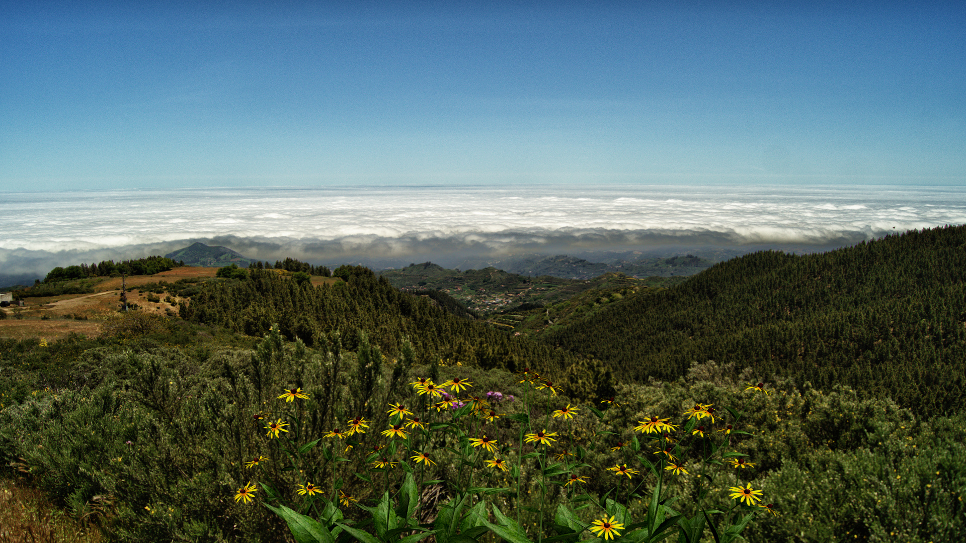 Der grüne Norden Gran Canarias