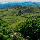 Der grüne Norden von Sao Miguel