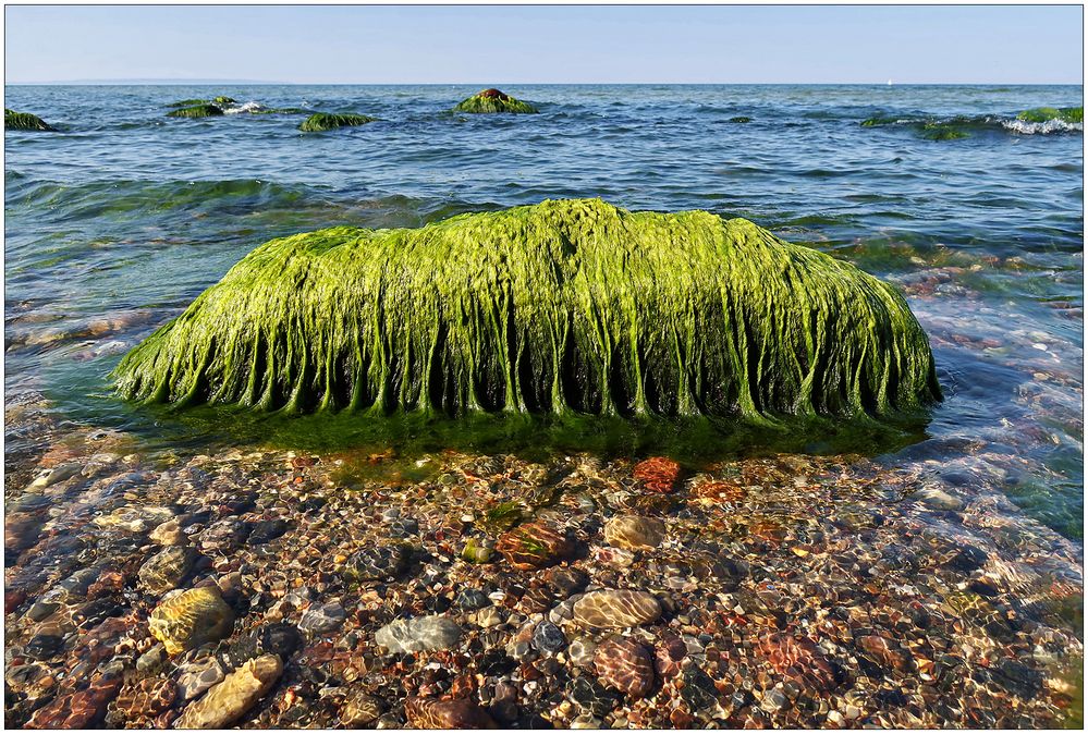 Der grüne Ostsee-Stein...