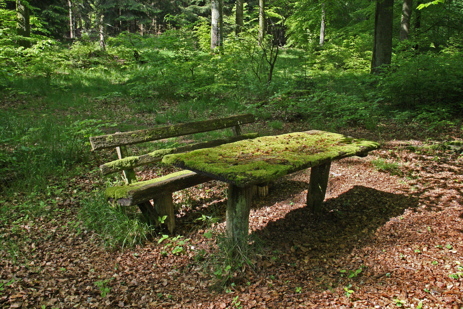 Der grüne Rastplatz