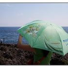 der grüne Schirm am blauen Meer