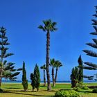 Der grüne Strand von Marina d'Or