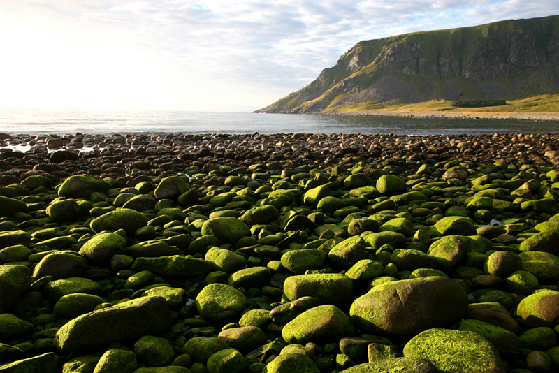 der grüne Strand von Unstad