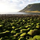 der grüne Strand von Unstad