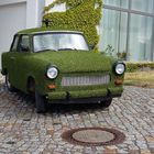 Der "Grüne" Trabant!