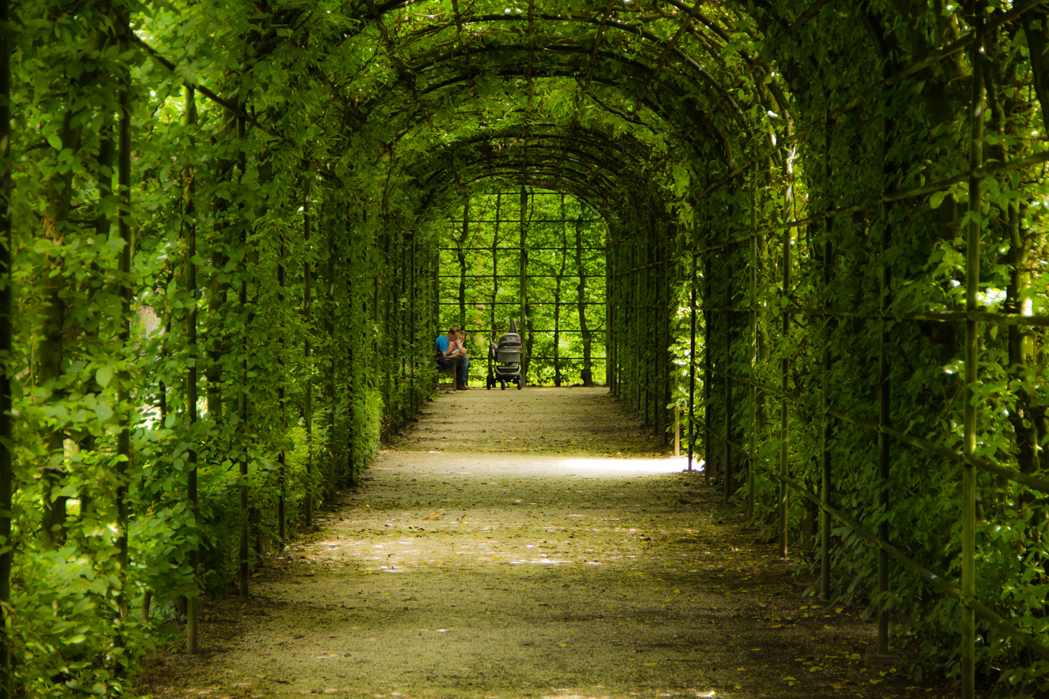 Der grüne Tunnel