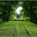 der grüne Tunnel