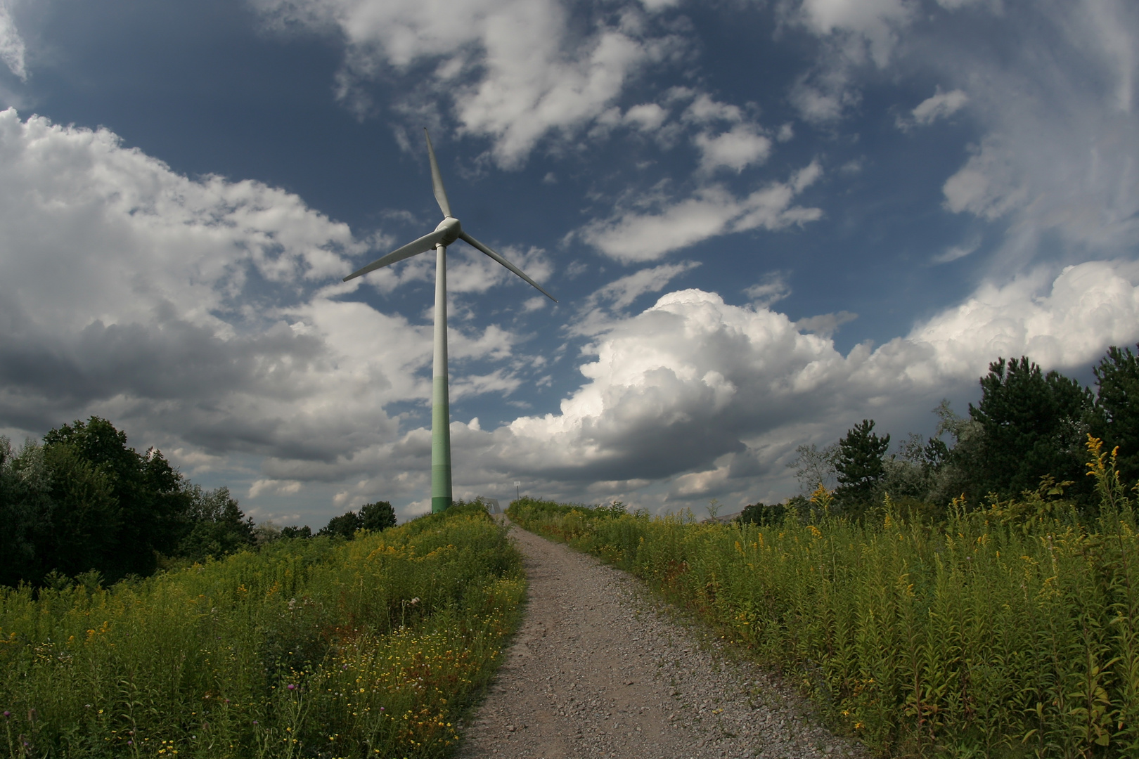 Der grüne Weg