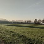 Der Grüner Herbst 