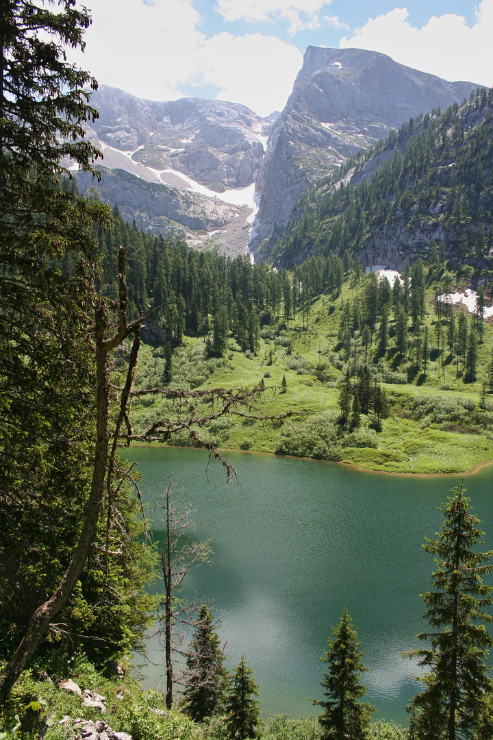 Der Grünsee (IMG_5376_ji)