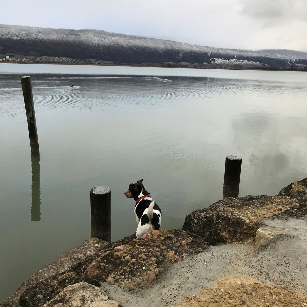 der Gruss der Schneefallgrenze