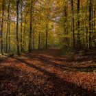 der güldene Herbst