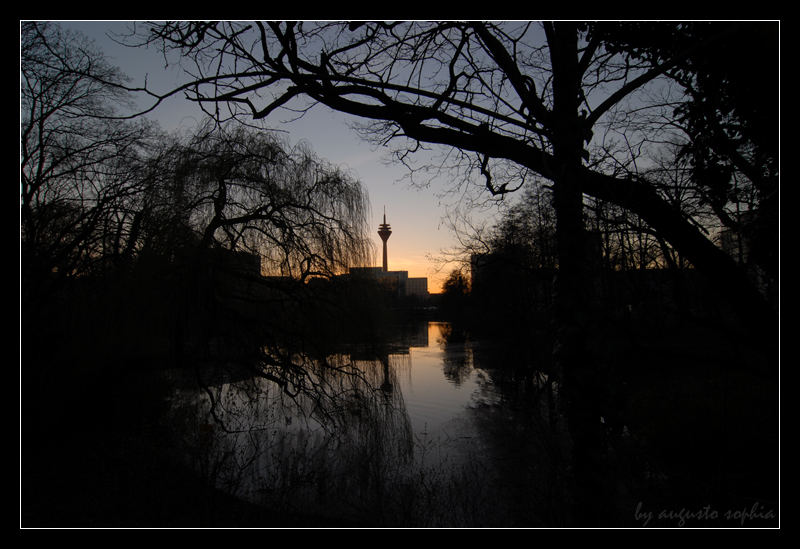 der guter abend am rhein...