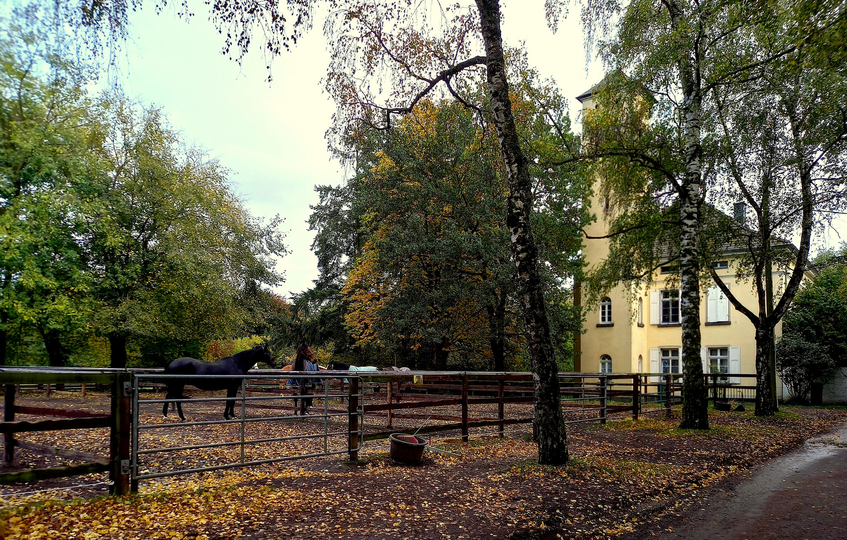 der Gutshof mit Pferdekoppel