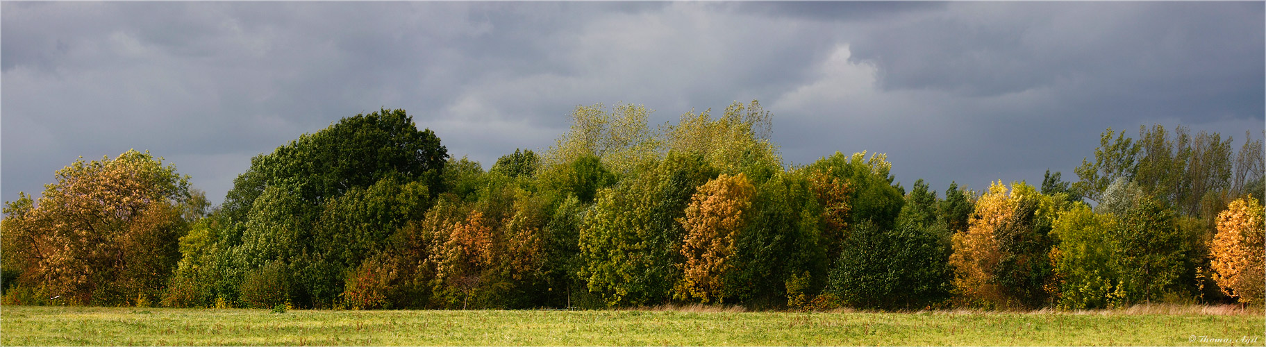 Der Hämeler Wald