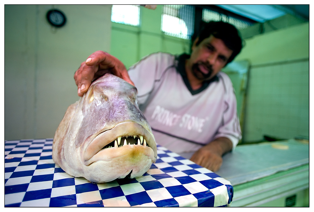 der Händler und sein Fisch ...