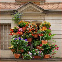 Der hängende Garten von Heidelberg