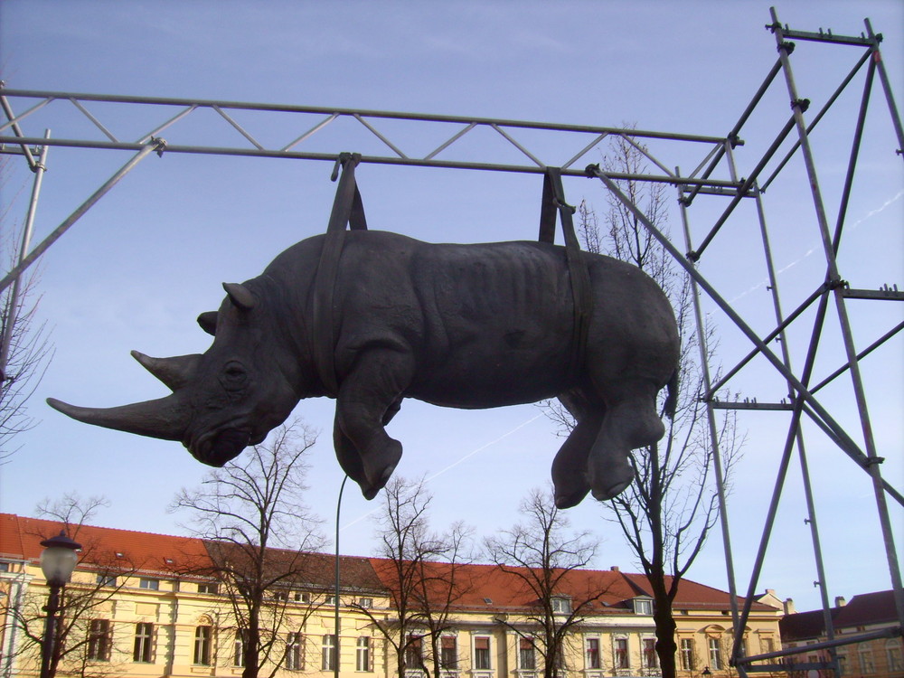 Der hängt in Potsdam rum