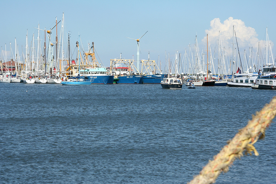 der Hafen füllt sich