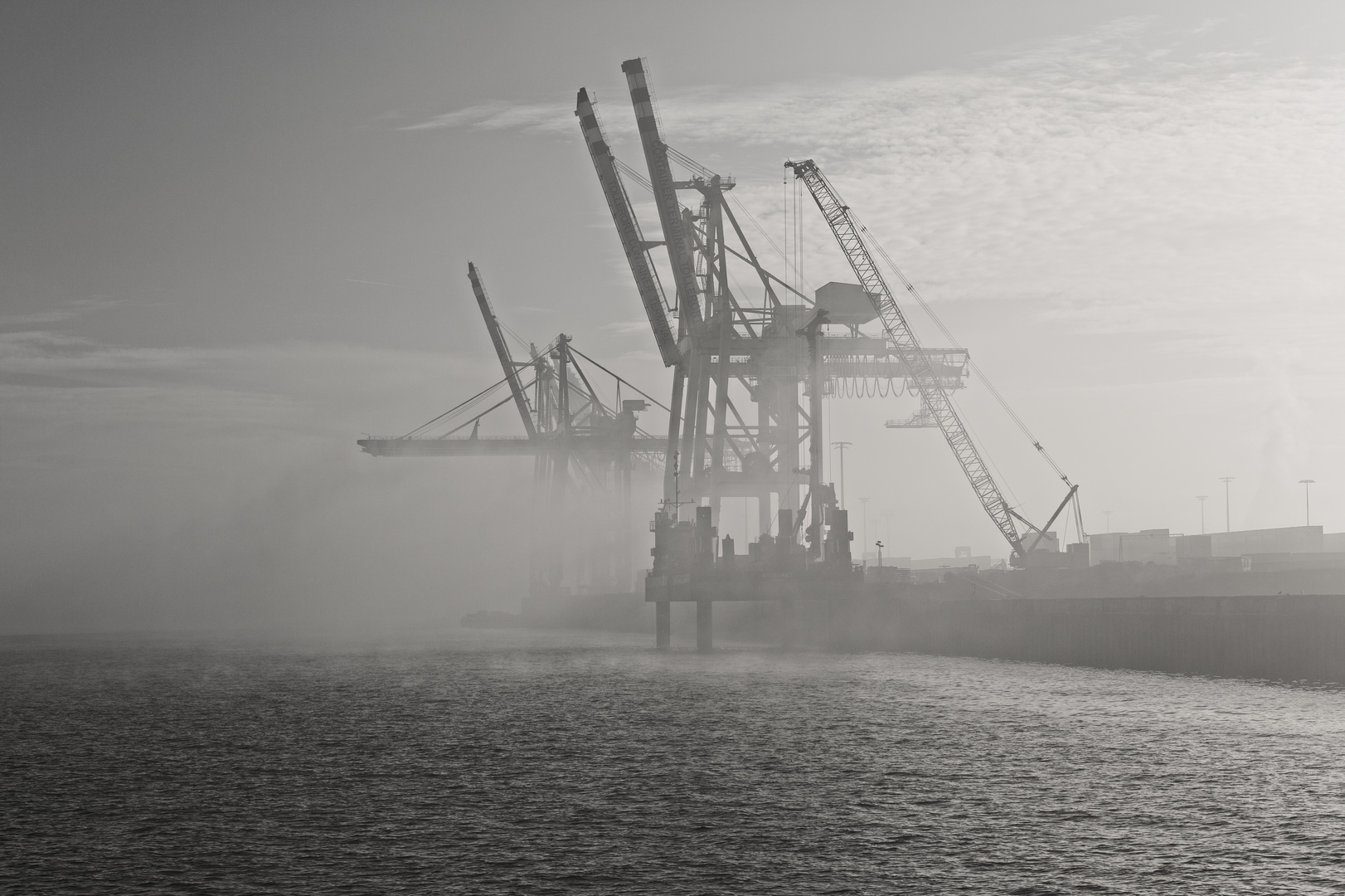 Der Hafen im Nebel