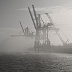 Der Hafen im Nebel