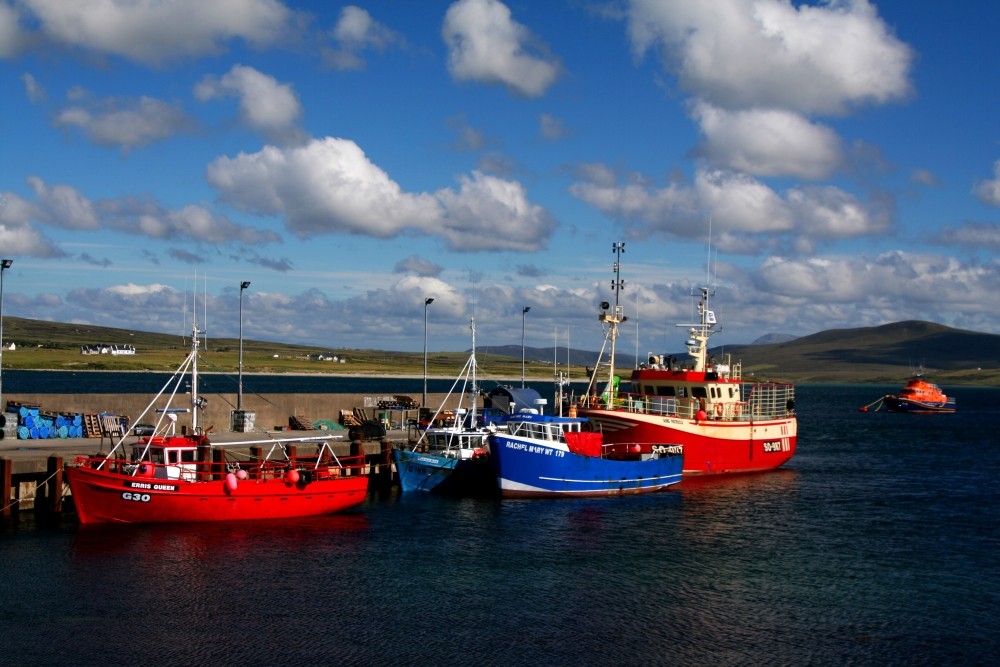 Der Hafen in Ballyglass...